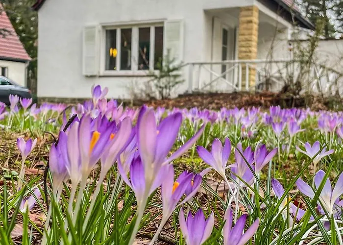 Am Weissen Adler * Dresde